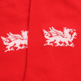 Red socks with white dragons on a red background