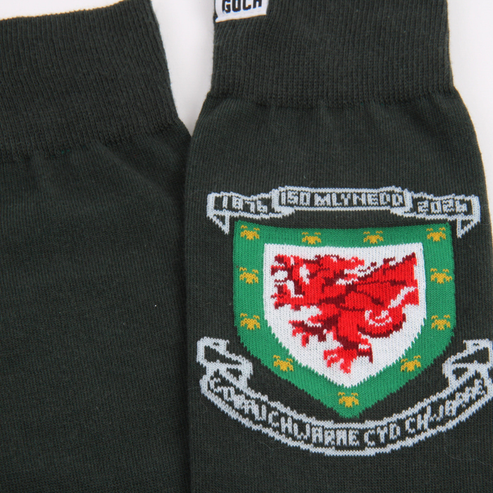 Green socks with a red dragon emblem on a white background