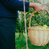 Person holding a wicker basket with apples in an orchard showing the cuff and bottom of the sweater which has a small roll edge