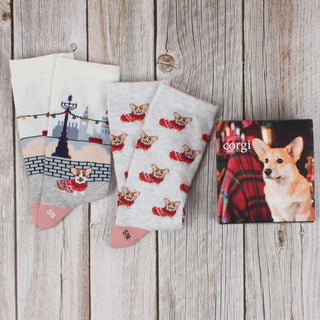 Corgi Christmas Sock Gift Box - Corgi Socks