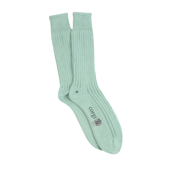 Pair of light green socks on a white background