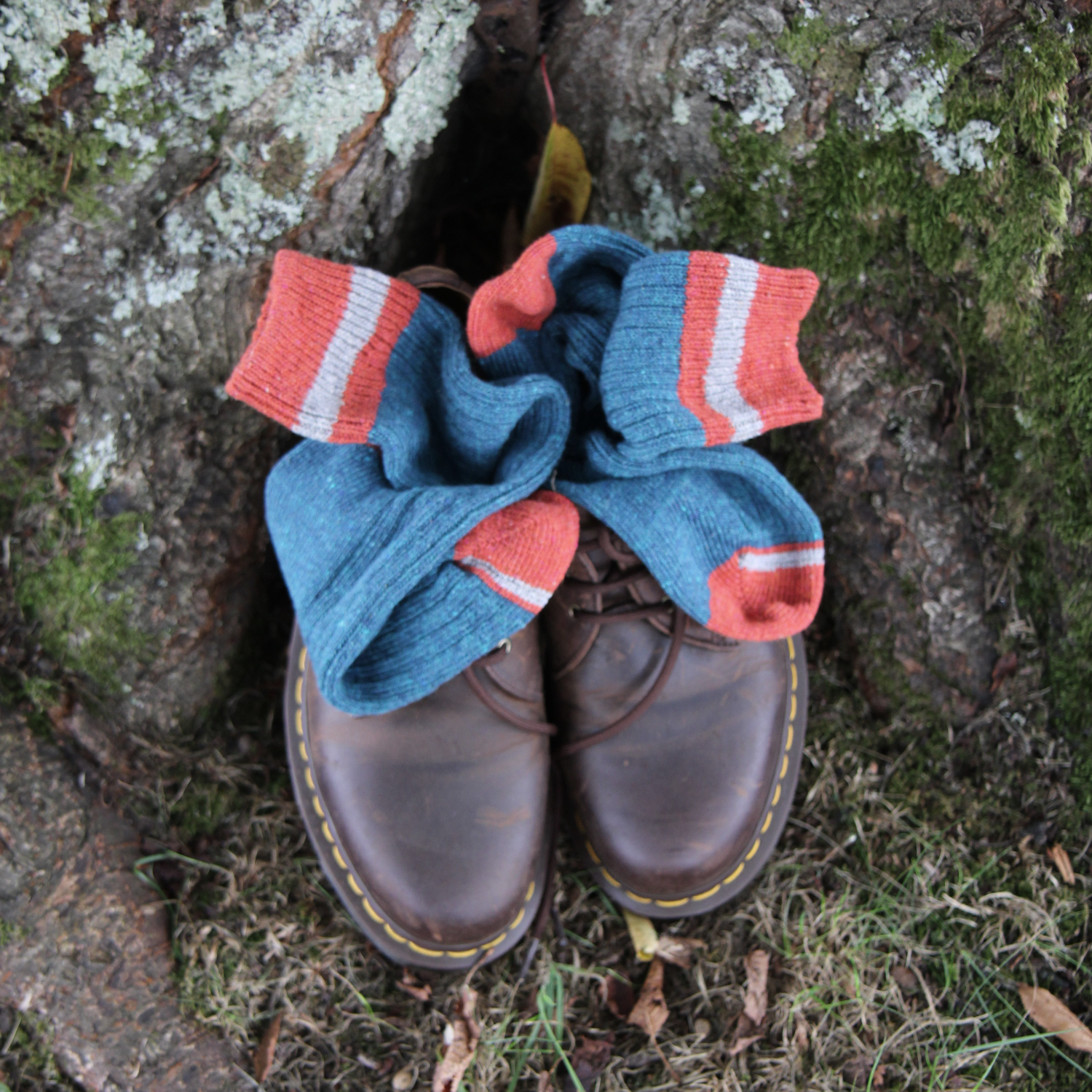 A pair of brown leather boots with yellow welt stitching, placed on the ground next to a mossy tree trunk, with a pair of blue and coral pink striped socks draped over the top.