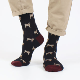Men's Pug Cotton Socks