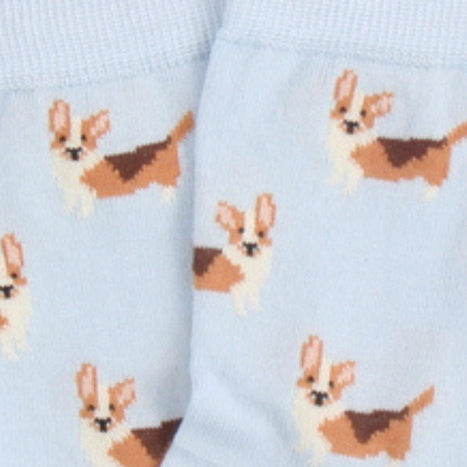 Light blue socks with corgi dog pattern