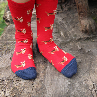 Red socks with dog pattern worn by a child on a wooden surface