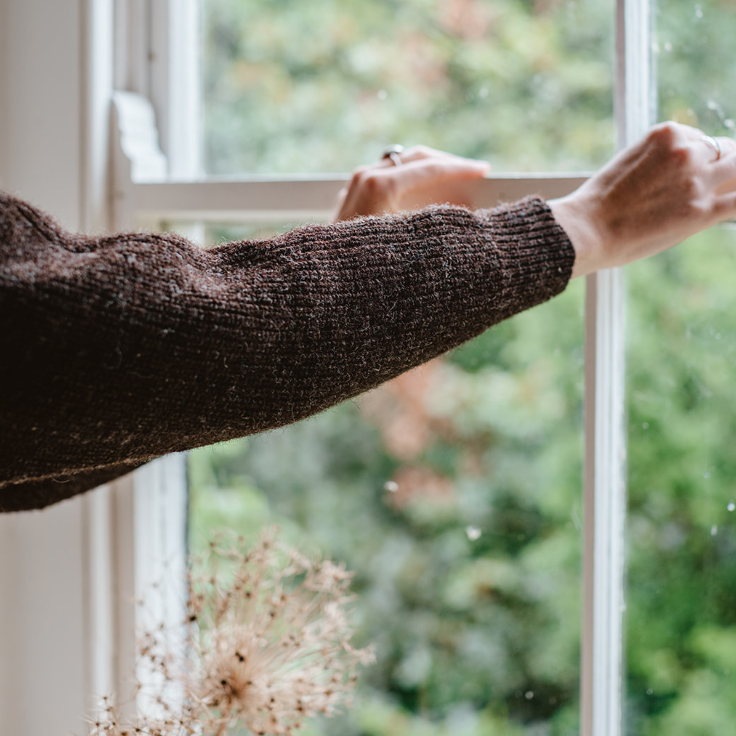 Person wearing a brown sweater standing by a window with a blurred green outdoor background