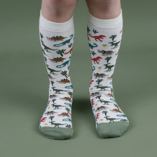 Kids Dinosaur Cotton Socks