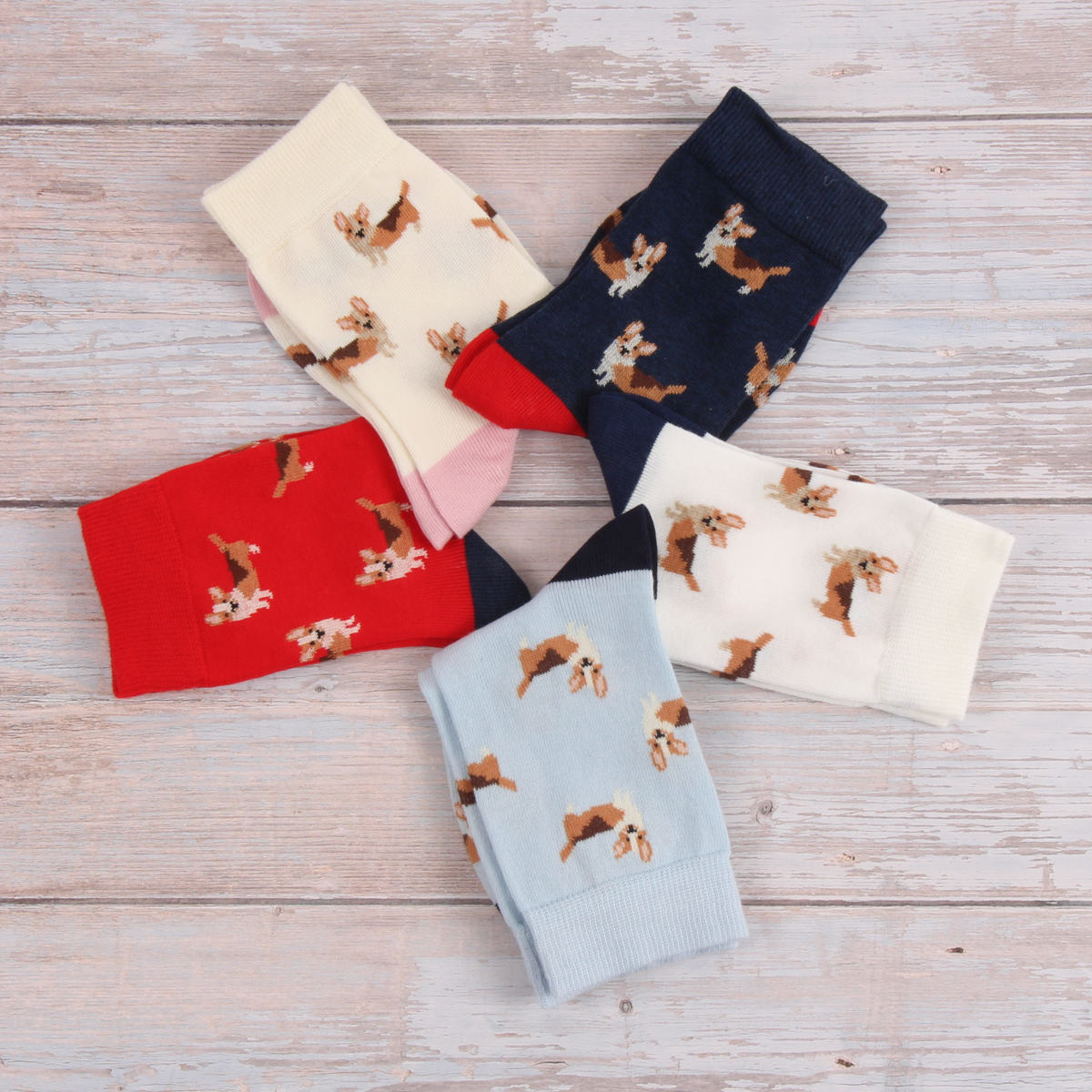 Five pairs of socks with dog patterns on a wooden surface
