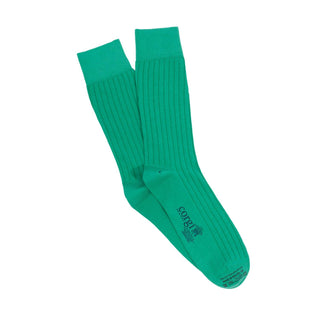 Men's Mint Green Rib Cotton Socks - Corgi Socks