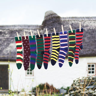 Mercian Regimental Cotton Socks - Corgi Socks