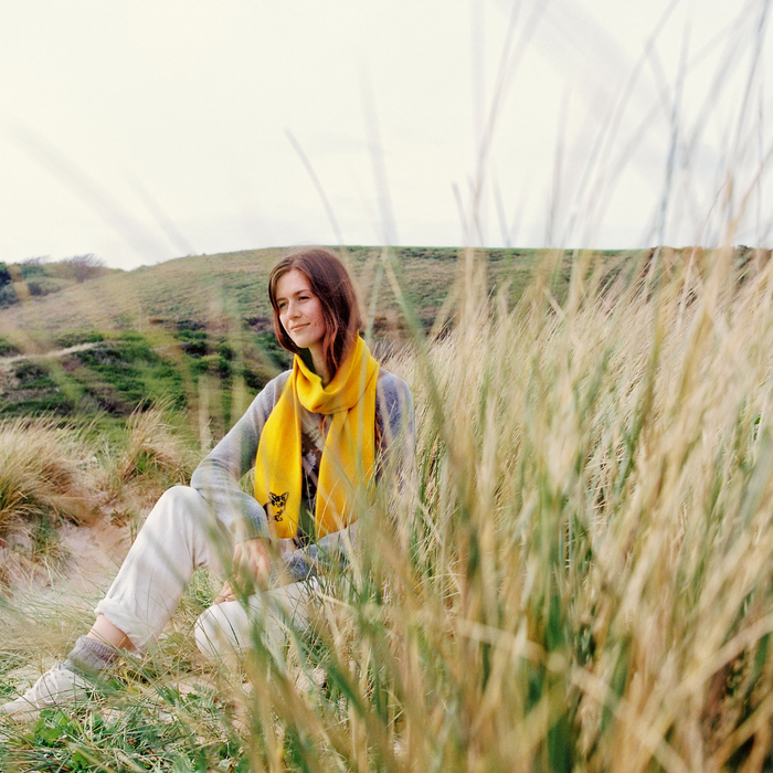 Royal Collection Corgi Dog Large Wool Scarf - Corgi Socks