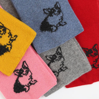 Royal Collection Corgi Dog Small Wool Scarf - Corgi Socks